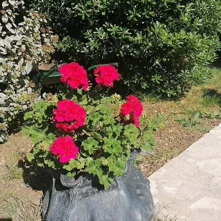Rea Apartmán Crikvenica