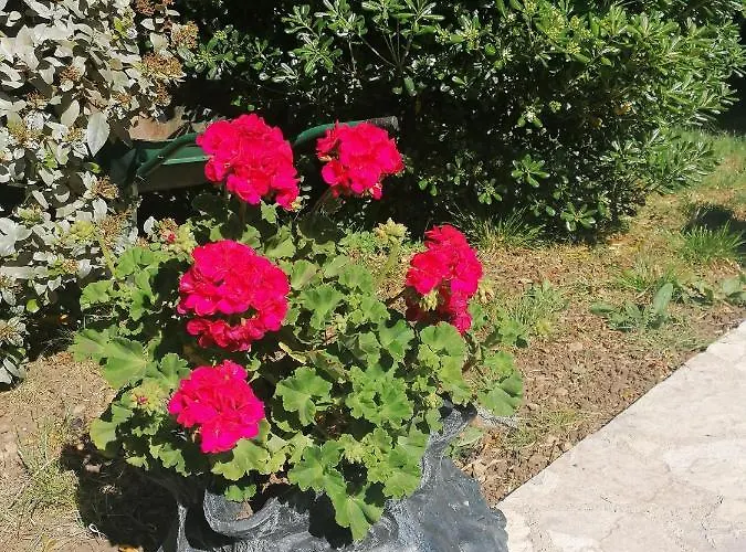 Rea Διαμέρισμα Crikvenica